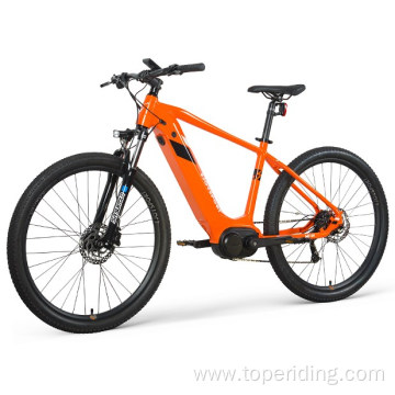 Customized electric bike all terrain
